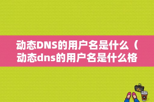 动态DNS的用户名是什么（动态dns的用户名是什么格式）